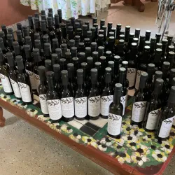 Local Olive Groves - Guercif