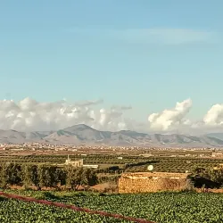 Rif Mountains - Guercif