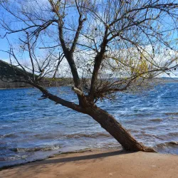 Dayet Aoua Lake - Ifrane (Ifran)