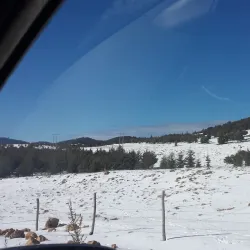 Ifrane National Park - Ifrane (Ifran)