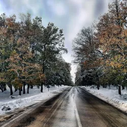 Ifrane National Park - Ifrane (Ifran)
