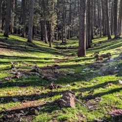 Ifrane Public Garden - Ifrane (Ifran)