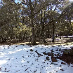Ifrane Public Garden - Ifrane (Ifran)