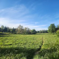 Lion Stone (Rocher du Lion) - Ifrane (Ifran)