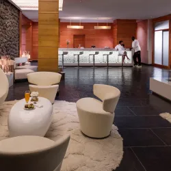 Michlifen Forest - Ifrane (Ifran)