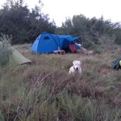 Loukkos River Estuary - Larache