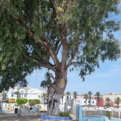 Sidi Mohamed Ben Abdellah Mausoleum - Larache