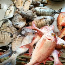 Martil Market - Martil