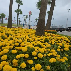 Parc de Martil - Martil