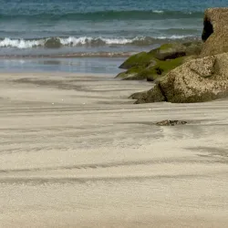 Plage Malabata - Martil