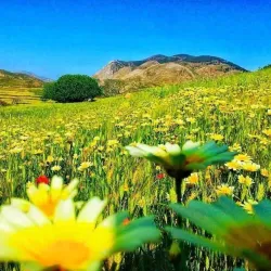 Rif Mountains - Martil