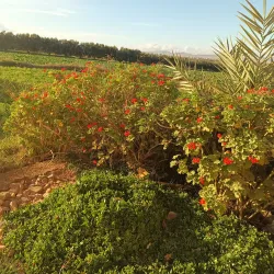 Rif Mountains - Martil