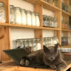 Local Artisan Workshops - Ouazzane