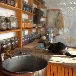 Local Artisan Workshops - Ouazzane