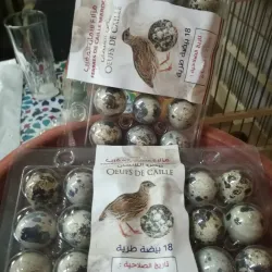 Local Souks and Markets - Ouazzane