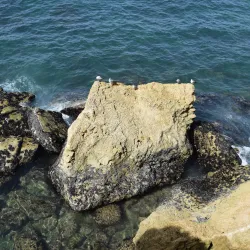 Safi Castle (Borj El Bahar) - Safi