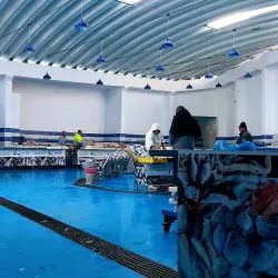 Safi Fish Market - Safi