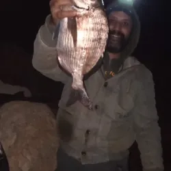 Safi Fish Market - Safi