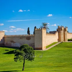 Chellah Necropolis - Sale