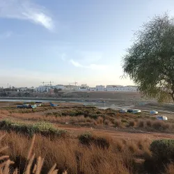 Oued Bou Regreg - Sale