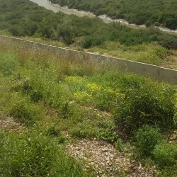 Oued Bou Regreg - Sale