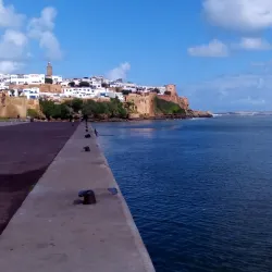 Oued Bou Regreg - Sale