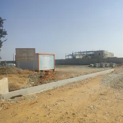 Agricultural Fields and Olive Groves - Sidi Kacem