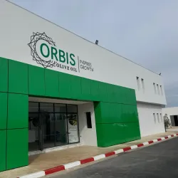 Agricultural Fields and Olive Groves - Sidi Kacem