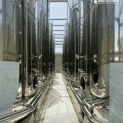 Agricultural Fields and Olive Groves - Sidi Kacem