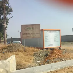 Agricultural Fields and Olive Groves - Sidi Kacem