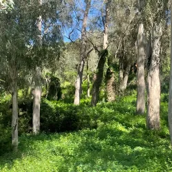 Nearby Natural Parks and Reserves - Sidi Kacem