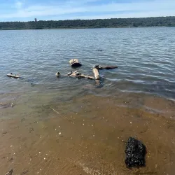 Nearby Natural Parks and Reserves - Sidi Kacem