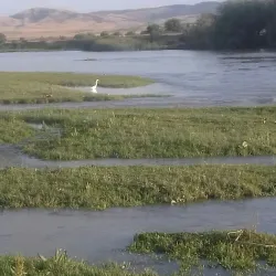 Oued Sebou River - Sidi Kacem