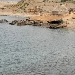 Palm Groves of Tan-Tan - Tan-Tan