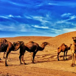 Plage Blanche (White Beach) - Tan-Tan