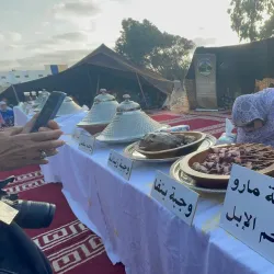 Tan-Tan Moussem Festival - Tan-Tan