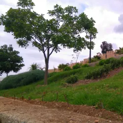 Bab Jemaa (Jemaa Gate) - Taza