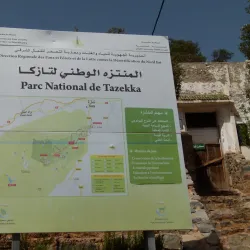 Caves of Friouato - Taza