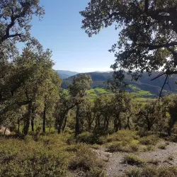 Tazekka National Park - Taza