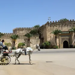 Dar El Makhzen - Tetouan