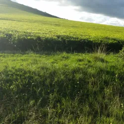 Chimanimani Mountains - Chimoio