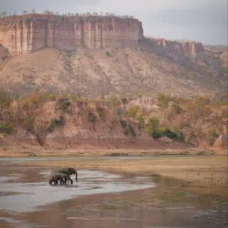 Gonarezhou National Park - Chimoio