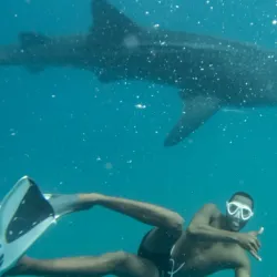 Diving and Snorkeling in the Indian Ocean - Inhambane