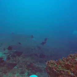 Diving and Snorkeling in the Indian Ocean - Inhambane