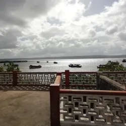 Mangrove Forests - Inhambane