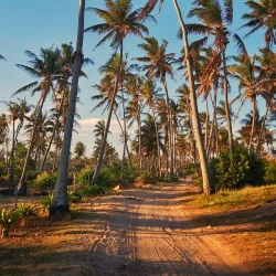 Tofo Beach - Inhambane