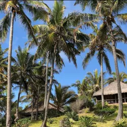 Diving and Snorkeling Spots - Jangamo