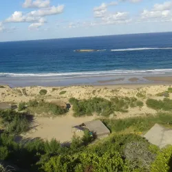 Mangrove Forests - Jangamo