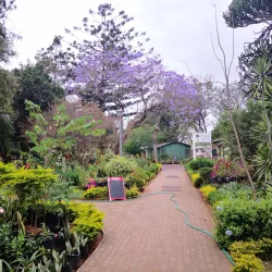 FEIMA - Feira de Artesanato, Flores e Gastronomica - Maputo