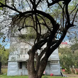 Iron House (Casa de Ferro) - Maputo